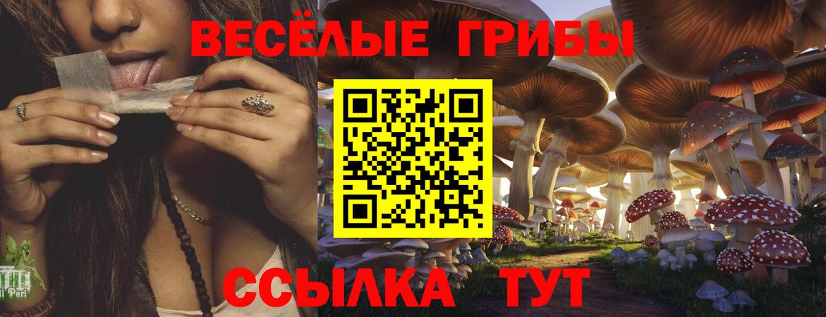 Галлюциногенные грибы MAGIC MUSHROOMS Магадан