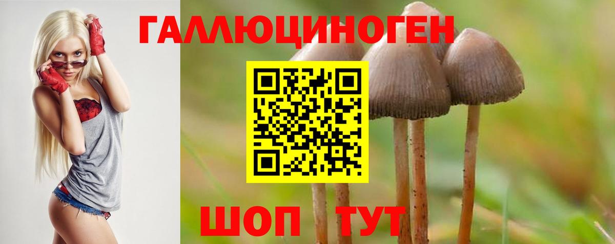 Галлюциногенные грибы Magic Shrooms  Вход с VPN  Магадан 